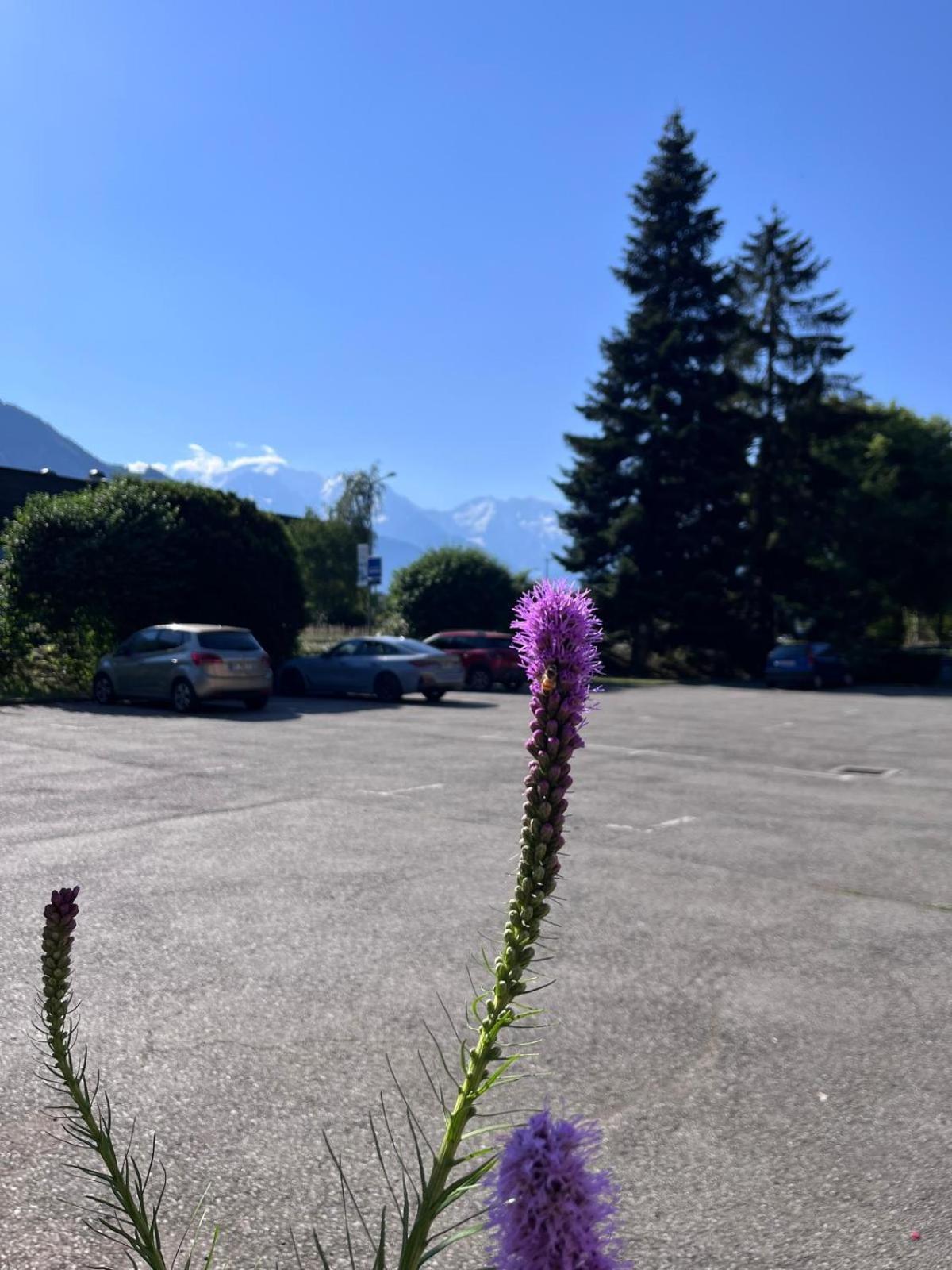 Ibis Sallanches Porte Du Montblanc Hotell Eksteriør bilde